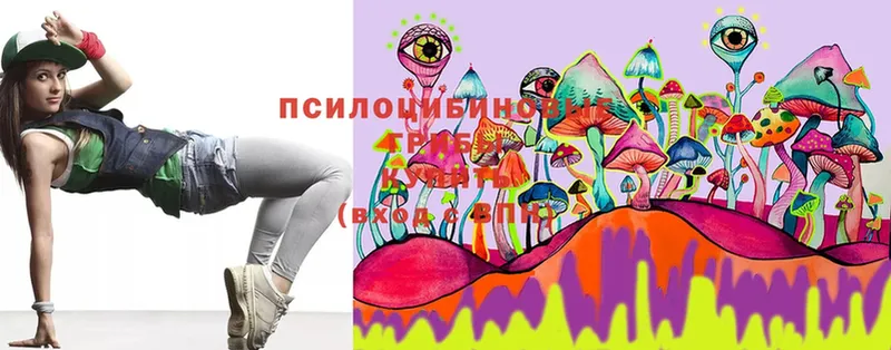 Псилоцибиновые грибы MAGIC MUSHROOMS  это телеграм  Черногорск 